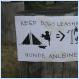 When Camping, make sure your dogs are leashed // PIC