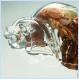 Hermit crab in a glamour glass shell (amazing pic)