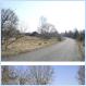 Nature overtaking Chernobyl [Pics]