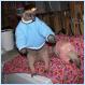 Anteaters Wearing Sweaters! Where Is Your God Now? [Pic]