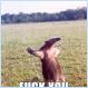 Fuck You [Pic]