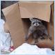 welcome to my box [pic]