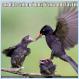 an dats when i new i wuz not favrite [pic]