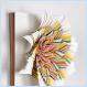 Explosion of construction paper (Pic)