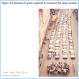 Space required to transport the same number of people via car, bus, or bicycle (pic)